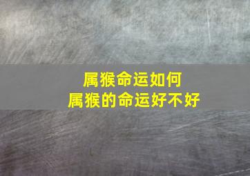 属猴命运如何 属猴的命运好不好